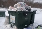 Антон Тыртышный помогает жителям убрать площадку для мусора из водоохранной зоны
